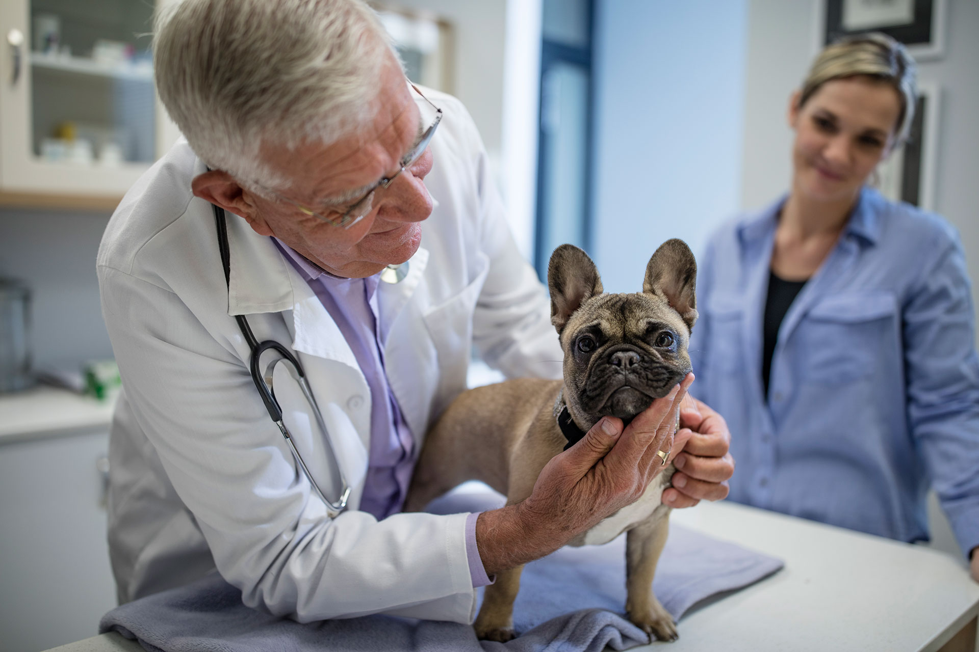 Veterinary Clinical Health Facilities Portakabin®